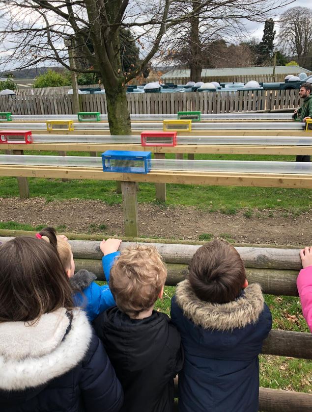 Moss Road pupils at Canon Hall Farm