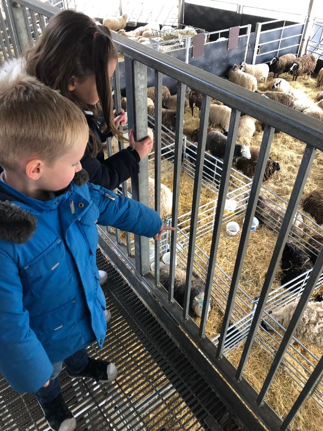 Moss Road children at Canon Hall Farm